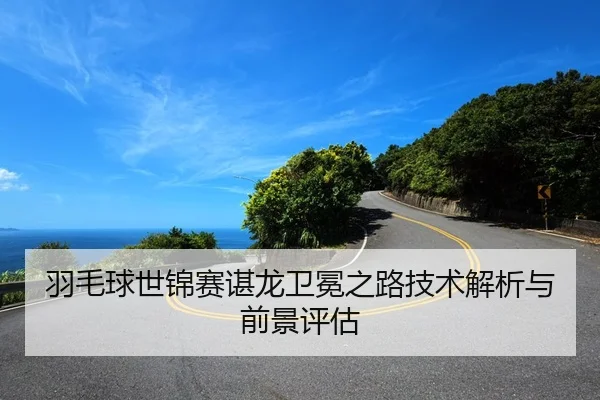 羽毛球世锦赛谌龙卫冕之路技术解析与前景评估